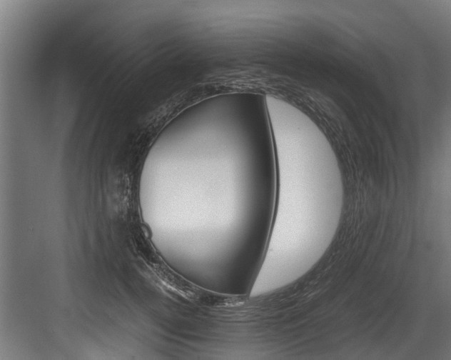 X0000083620752200702120749