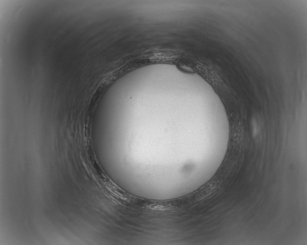X0000083620755200702120749