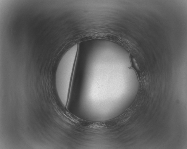 X0000083620756200702120749
