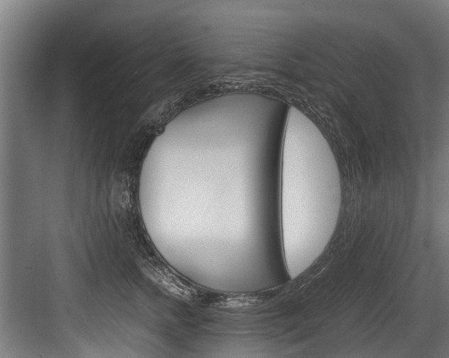 X0000083620758200702120749