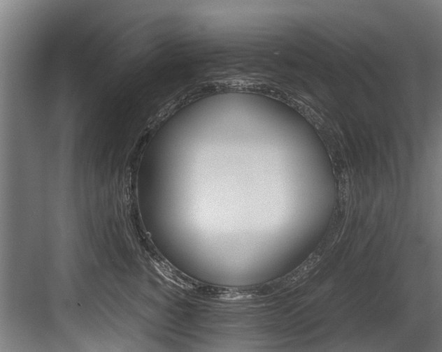 X0000083620760200702120749