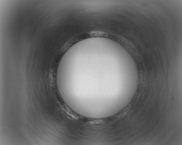 X0000083620761200702120749