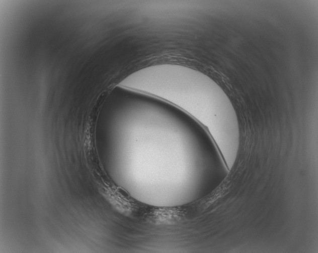 X0000083620762200702120749