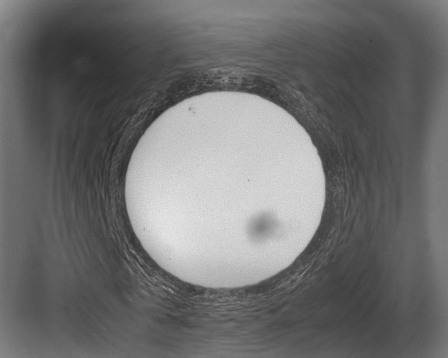 X0000083620769200702120748