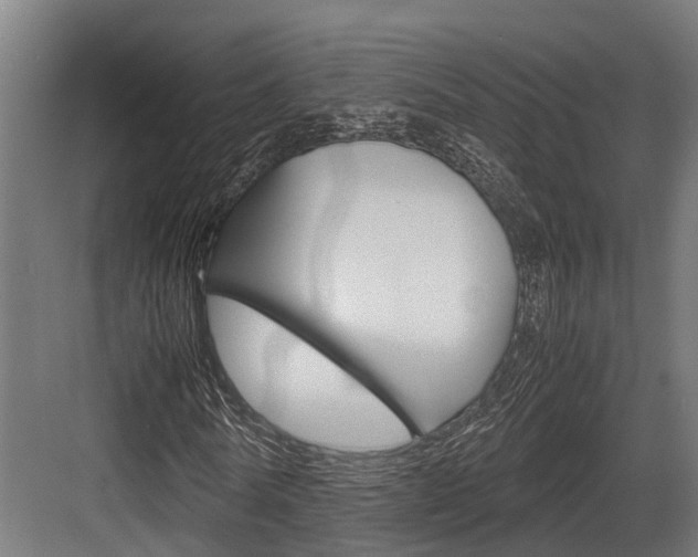 X0000083620770200702120748