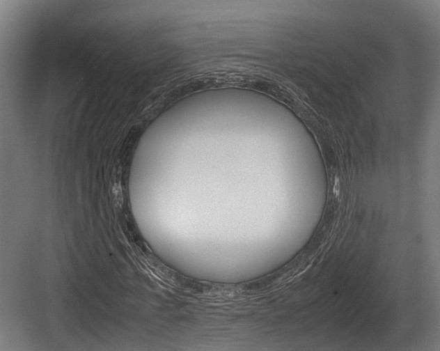 X0000083620771200702120748