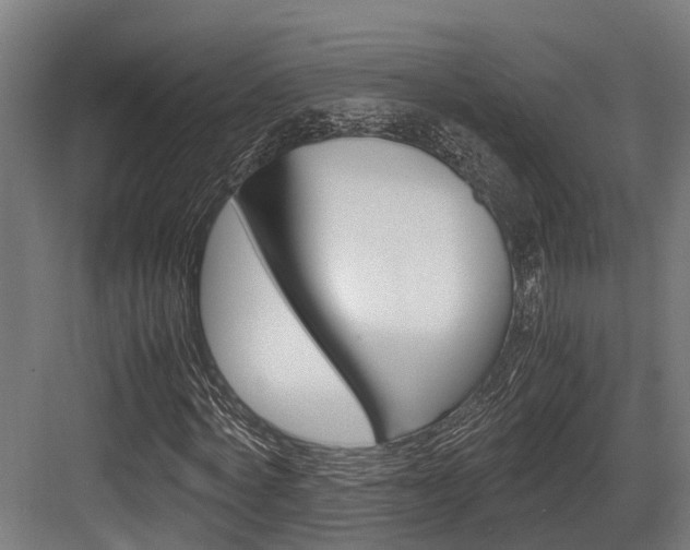 X0000083620772200702120748