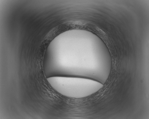 X0000083620774200702120748
