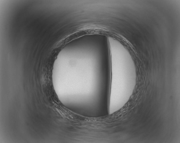 X0000083620775200702120748
