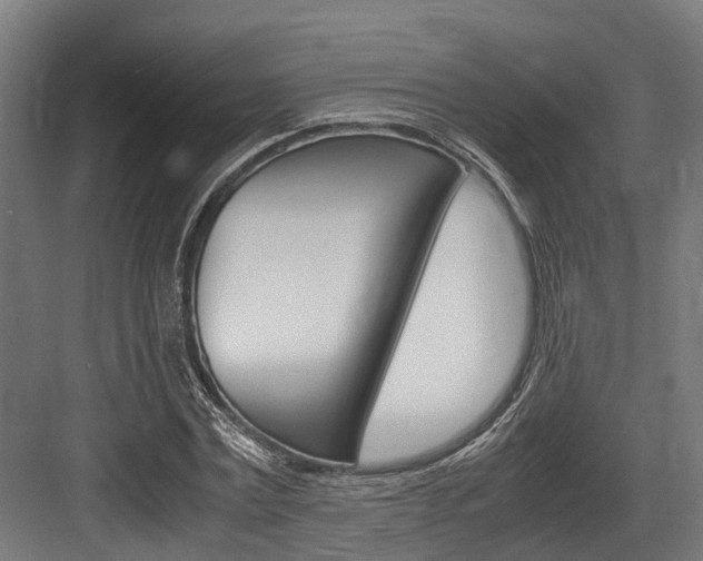 X0000083620779200702120748