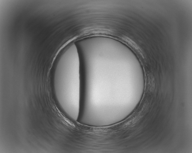 X0000083620782200702120748
