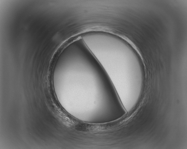 X0000083620783200702120748
