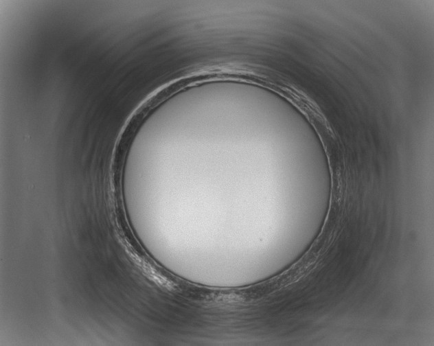 X0000083620784200702120748