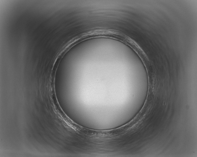 X0000083620786200702120748