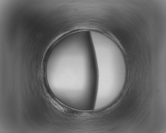X0000083620787200702120748
