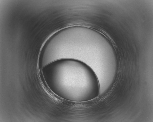 X0000083620788200702120748