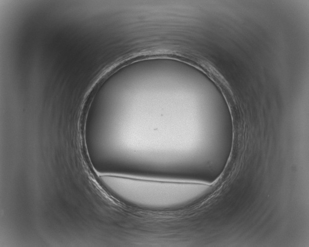 X0000083620789200702120748