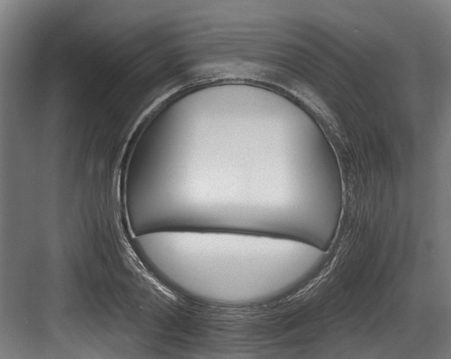 X0000083620790200702120748