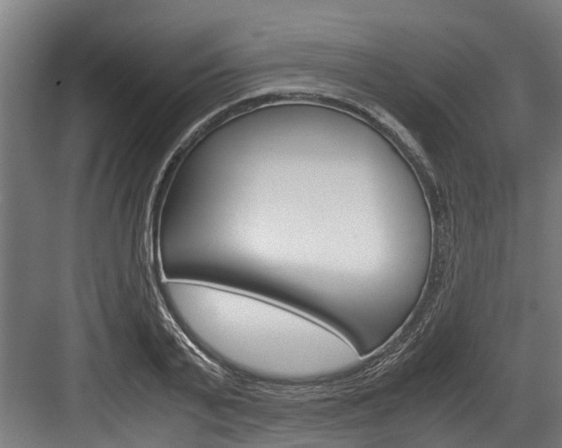 X0000083620791200702120748