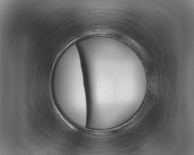 X0000083620794200702120748