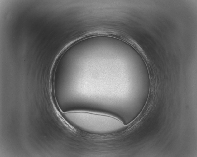 X0000083620795200702120748