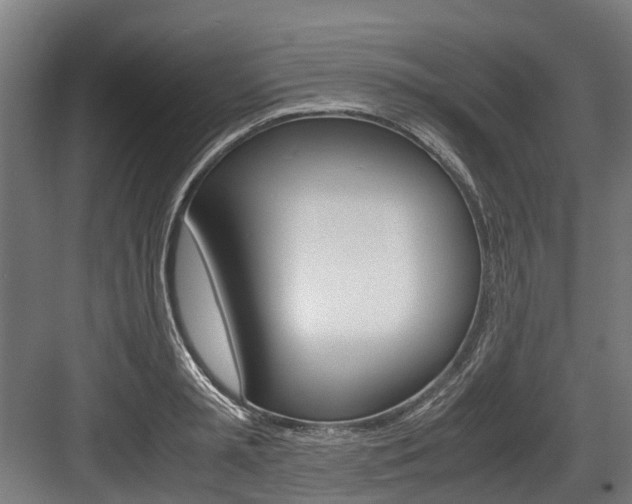 X0000083620797200702120748