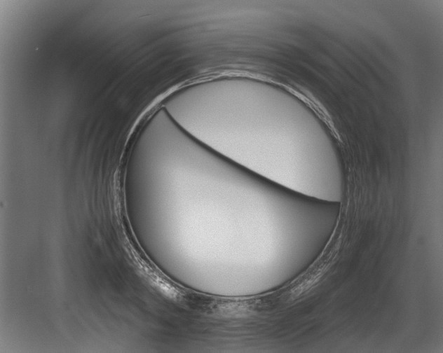 X0000083620798200702120748