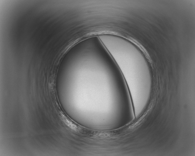 X0000083620801200702120748