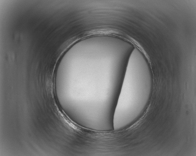 X0000083620802200702120748