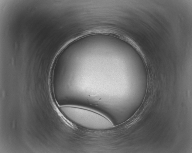 X0000083620803200702120748