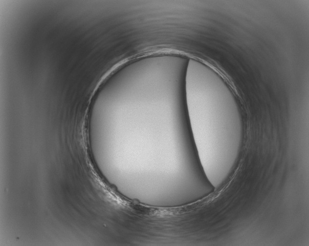 X0000083620806200702120748