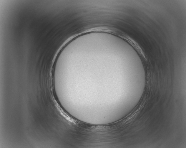X0000083620808200702120748