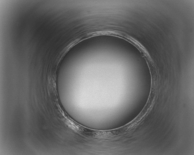 X0000083620809200702120748