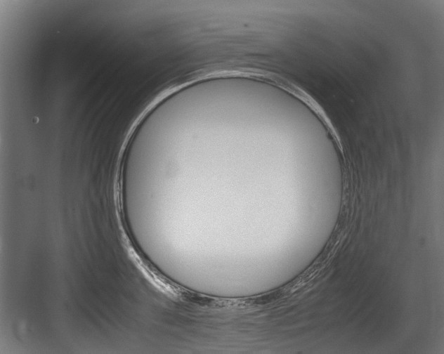X0000083620811200702120748