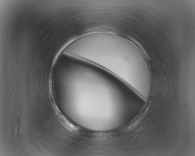 X0000083620812200702120748