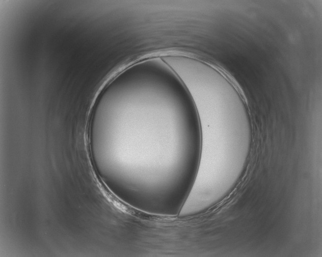X0000083620813200702120748