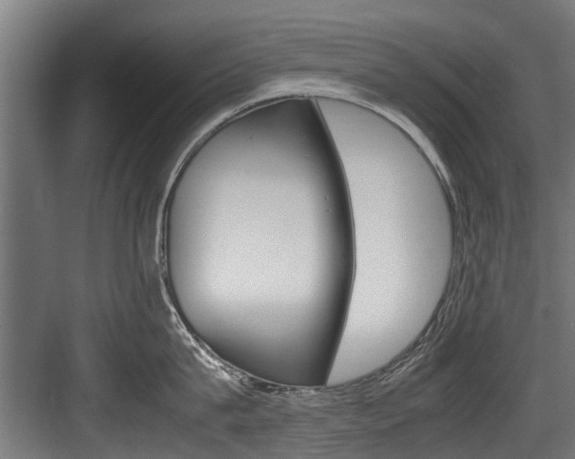 X0000083620815200702120748