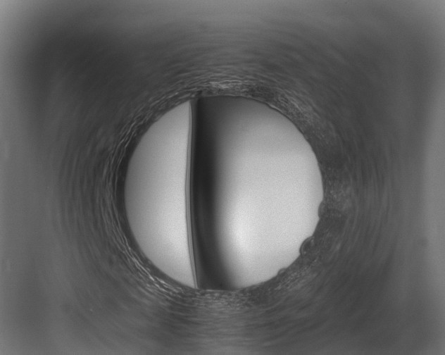 X0000083620817200702120747
