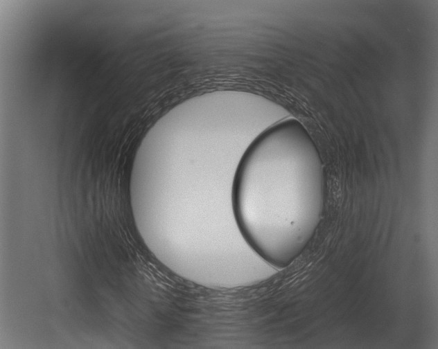 X0000083620818200702120747