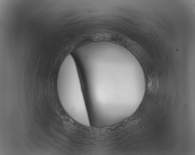 X0000083620819200702120747