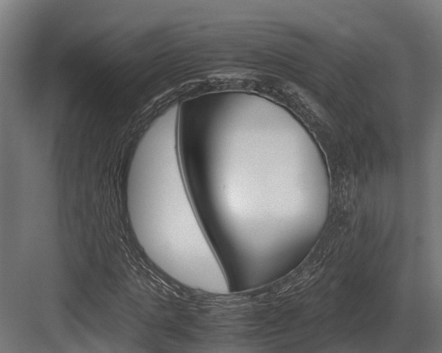 X0000083620821200702120747