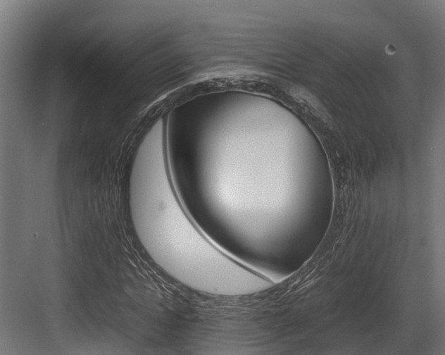 X0000083620822200702120747