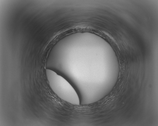 X0000083620823200702120747