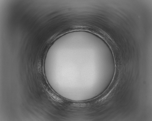 X0000083620825200702120747