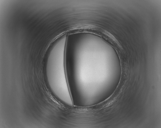 X0000083620826200702120747