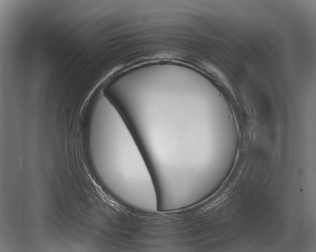 X0000083620827200702120747