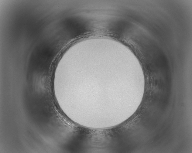 X0000083620828200702120747