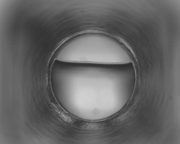 X0000083620829200702120747