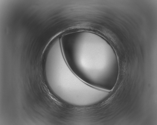 X0000083620830200702120747