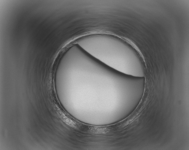 X0000083620831200702120747